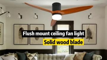 Ceiling light with fan
