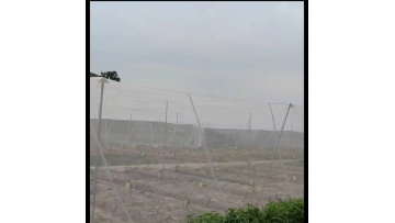 Reusable High Quality 20 40 60 Mesh Protect Insect Proof Mesh Net for Agricultural Greenhouse1