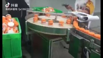 爱剪辑-膏霜装盒机.mp4