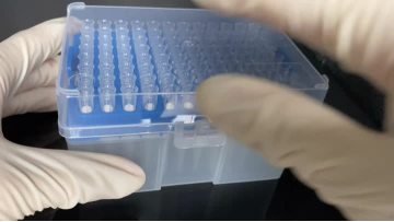 Eppendorf 200ul pipette tips