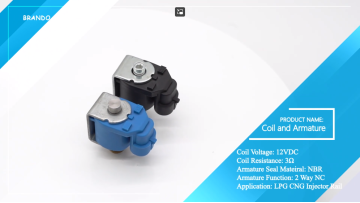 LPG CNG Injector Rail 12VDC 3 Ohm Solenoid Coil Wi
