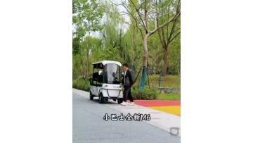 Scenic area electric sightseeing tricycle
