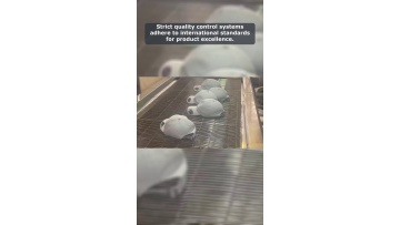 Video 148