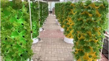 Hydroponic tower