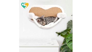cat hammock wall