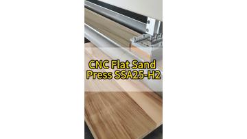 cnc_flat_sand_press_panel_leveling.mp4