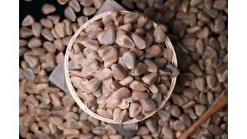 Roasted Delicious Pine Nuts