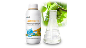 Edta Trace Element Fertilizer - Boron and Zinc for Plants (Liquid)1