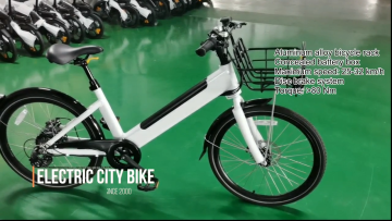 CB001OEM Electric Bike City Ebike 24