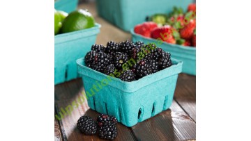 Australia Hot Sale Good Price Water-proof Molded Pulp Box Fruit Packaging Dry Fruits Vegetables Tray Box1
