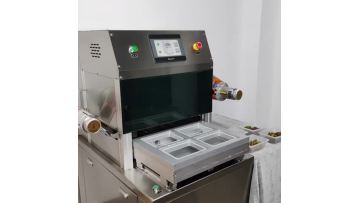 Modified atmosphere packing machine DQ370L