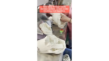 Video 10