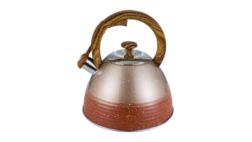Stainless steel orange marble coated stove top kettle FH-689O