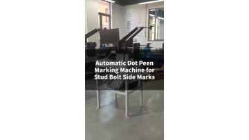 Automatic dot peen marking machine for bolts