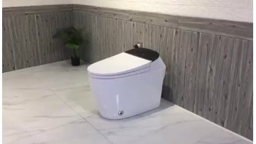 smart toilet 2