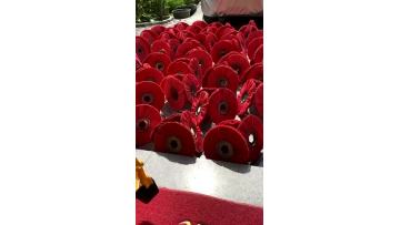 red resin sisal wheel