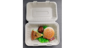 Disposable Sugarcane Food Disposable 9''x 6'' Clamshell 