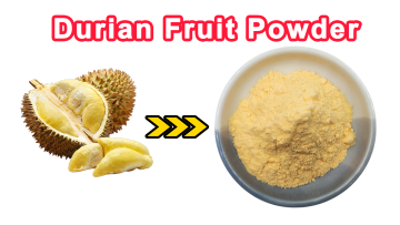 Durian Powder