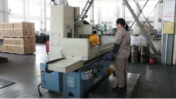 Rotary discharge valve