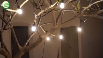Higher Cost Performance Customizable Light