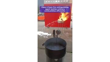 Video 6