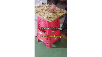 Leaf Coarse Crusher