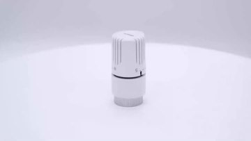 Thermostatic Radiator 2