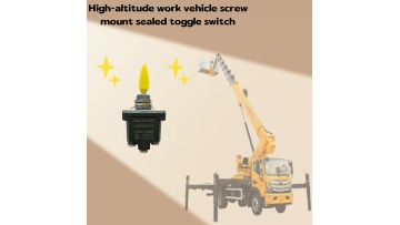 Momentary Toggle Switch