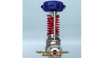 ZZYP Steam Regulating Valve