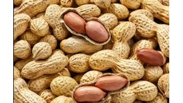Garlic Peanuts Snacks