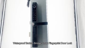 Tuya wifi handle door lock DLD9T 