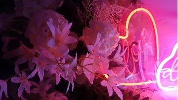 Wholesale LED Neon Night Light Sign Wall Art Sign Night Lamp Xmas Birthday Gift Wedding Party Wall Hanging Neon Lamp Home Decor1
