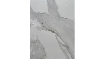 Top-grade fish maw white