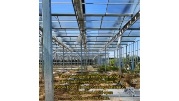 China manufacturer  multi span polycarbonate Tomato greenhouse with hydroponic System1