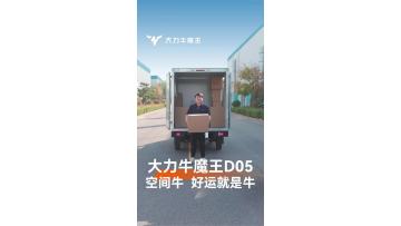 D05 versatile electric van