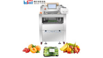 Tangerine Strawberries Bergamot Cling Film Packing Machine Vegetable Fruit Meat Stretch Film Cling Wrap Machine1