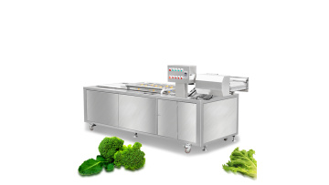 ST-WQX3300 fruit and veg washing machine