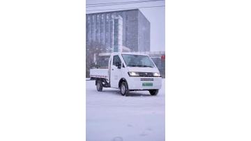 D05 flatbed new energy mini truck