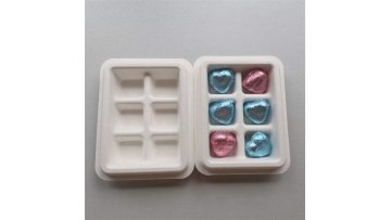 Pulp molded packaging 