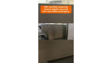 Video 2