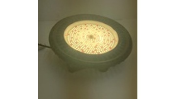 216W LM301B UFO LED Plant Grow Light for Pitaya1