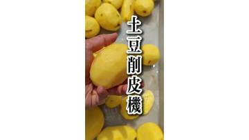 Potato peeling machine Potato Peeler