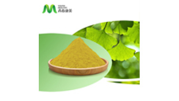 Organic Ginkgo Biloba Leaf Extract Powder 24% Flavone Glycoside1