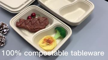 UYB2009 1000ml-2 compartment tray