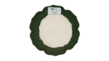 Ginseng Root Extract Powder 1% - 80% Ginsenosides Red Panax Ginseng Extract1
