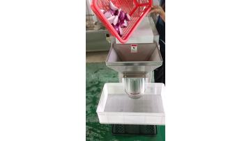 Fruit and vegetable crushing machine Garlic crusher