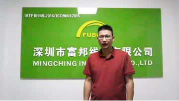 FBXS’s company introduction, providing customers with satisfactory automotive wiring harness services