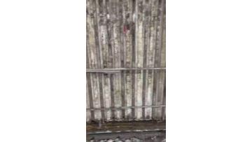 EPS cement sandwich wall panel