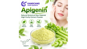 Natural Supplement Celery Extract Apigenin 98% Powder