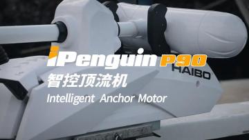 ipenguin P90 Intelligent Anchor Motor